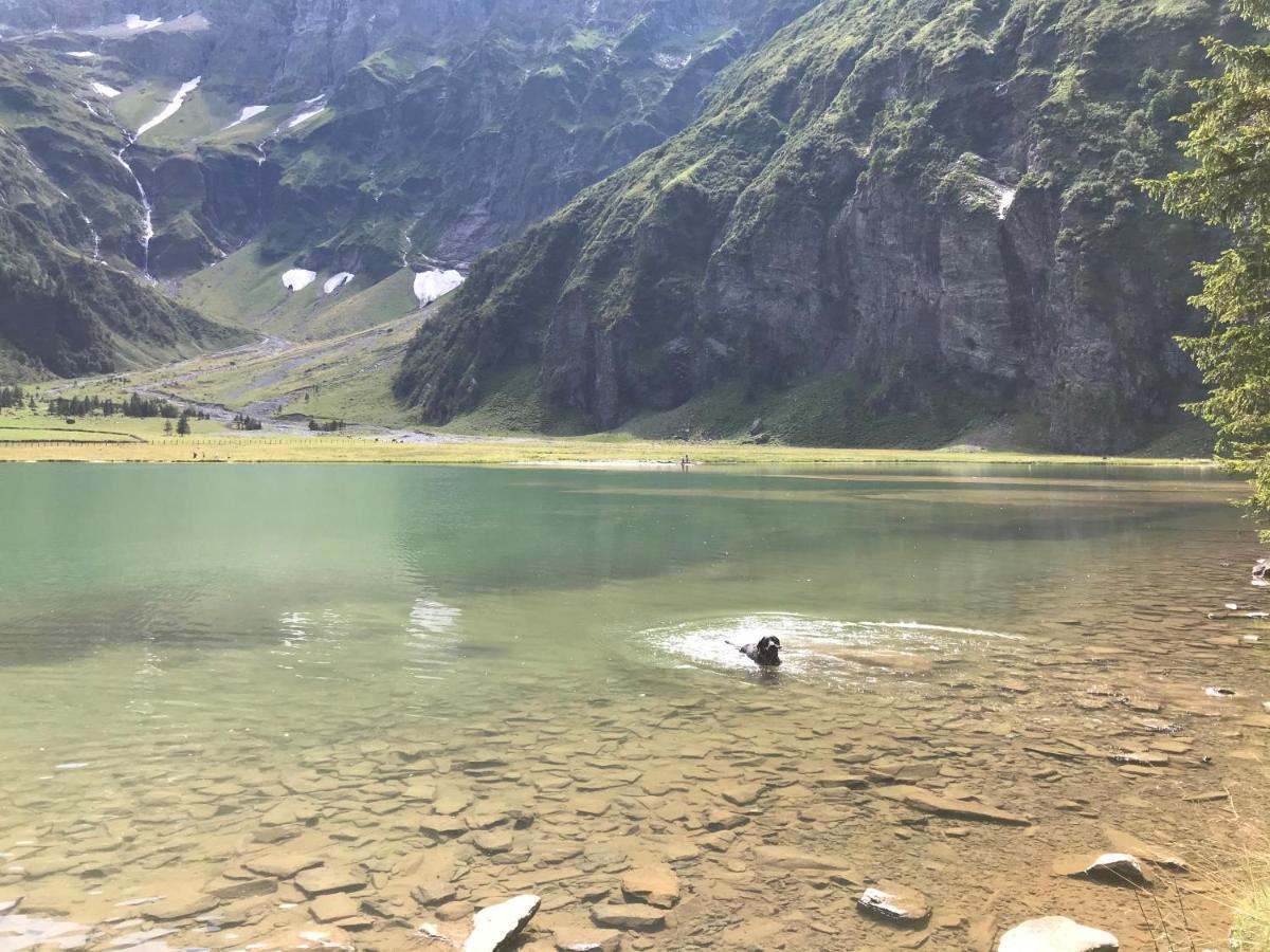 Ferienwohnung Wildkogelblick Брамберг-ам-Вільдкогель Екстер'єр фото